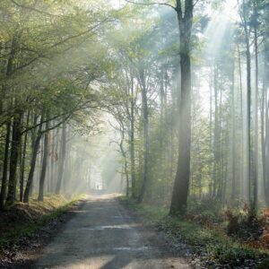 MTB koffie/thee, appelgebak v.a. 10 personen €33,50PP